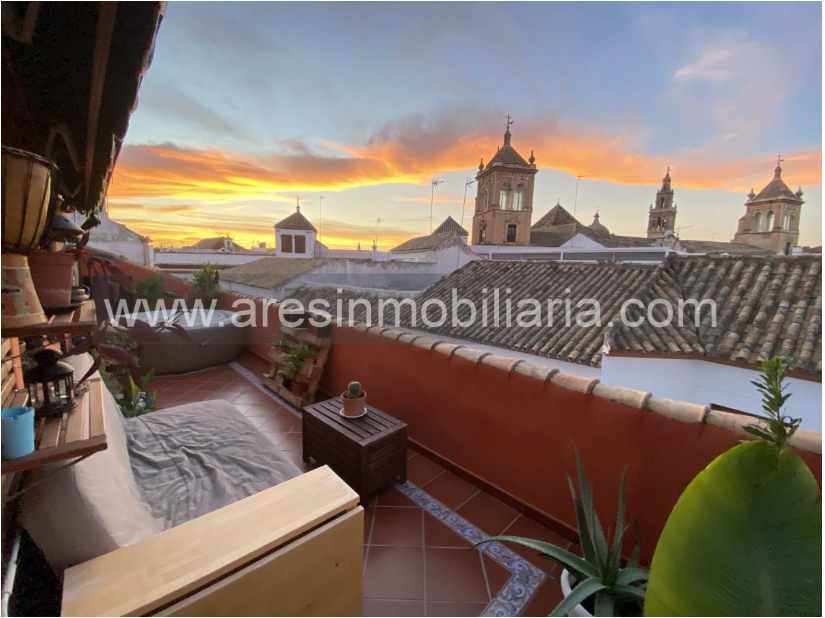 . INMOBILIARIA ARES en Écija