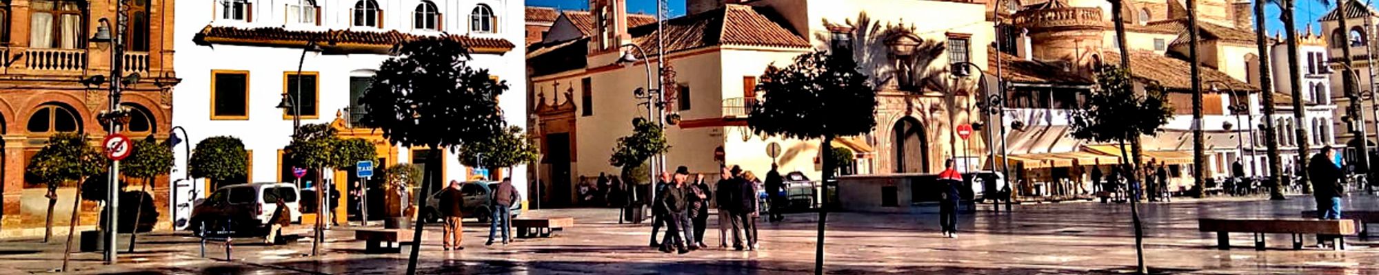 Díganos lo que busca en Écija y lo encontraremos. ARES INMOBILIARIA en Écija